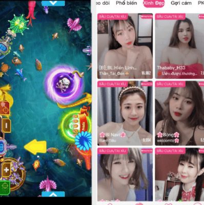 app 567live live stream